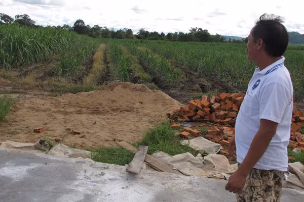 Rẫy mía tại tiểu khu 1149 của Công ty cổ phần Mía đường Nhiệt điện Ayun Pa. Ảnh: Huỳnh Kiên