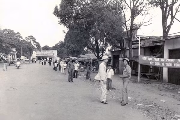 Đường Nguyễn Thiện Thuật nay là Khách sạn Tre Xanh Plaza.