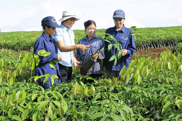 Ảnh: Đức Thụy