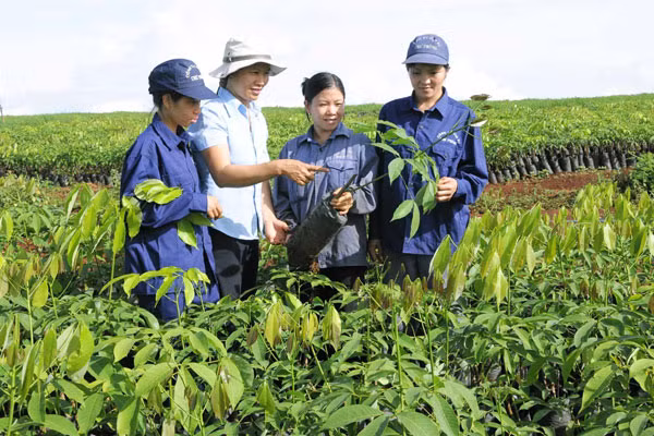 Ảnh: Đức Thụy