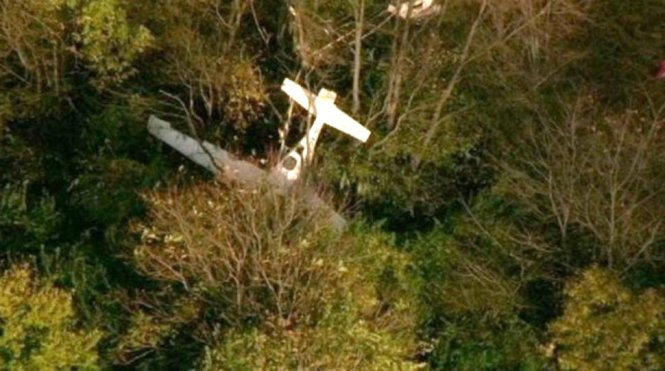 Chiếc máy bay rơi xuống một hàng cây sau vụ va chạm