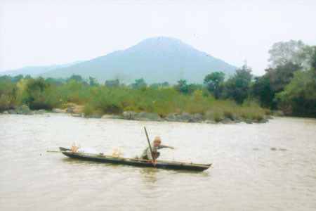 Cá Đá sông Ba ảnh 1 Ảnh: Lê Anh