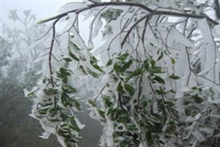 Hai đợt không khí lạnh liên tiếp tràn về ảnh 1 Hai đợt không khí lạnh liên tiếp tràn về ảnh 1