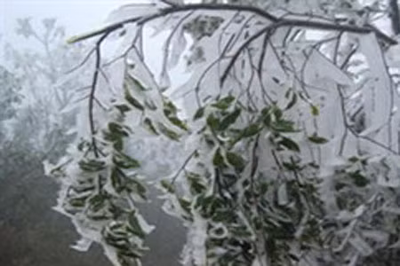 Hai đợt không khí lạnh liên tiếp tràn về ảnh 1