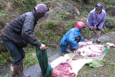 Hơn 9.900 con trâu, bò bị chết do rét đậm, rét hại ảnh 1 Trâu bò chết rét được người dân xẻ thịt bán ngay bên vệ đường.