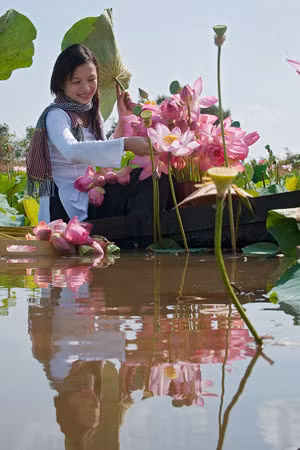 “Đời sen” của tác giả Trần Bích