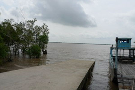 Bến Tre: Nước mặn vào sâu trong đất liền sớm ảnh 1