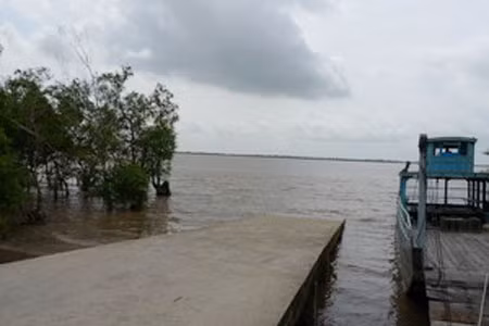 Bến Tre: Nước mặn vào sâu trong đất liền sớm ảnh 1