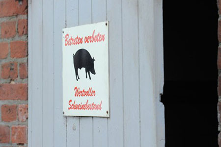 Đức đóng cửa 4.700 trang trại vì vụ trứng nhiễm dioxin ảnh 1 Hàng loạt trang trại tại Đức đóng cửa vì vụ trứng nhiễm dioxin