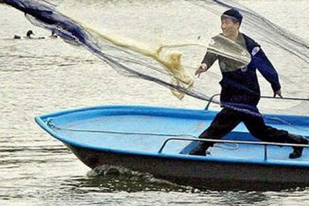 Nhân viên kiểm dịch bắt chim hoang dã trên một hồ ở Seoul (Hàn Quốc) để kiểm tra