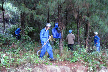 Kon Tum: Trên 21 tỷ đồng cho công tác phòng cháy rừng quốc gia Chư Mom Ray ảnh 1