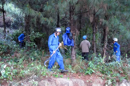Kon Tum: Trên 21 tỷ đồng cho công tác phòng cháy rừng quốc gia Chư Mom Ray ảnh 1
