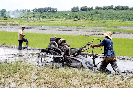 Ảnh: Đức Thụy