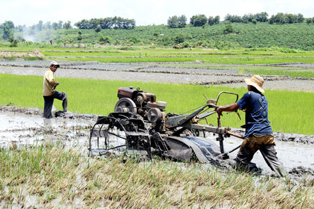 Ảnh: Đức Thụy