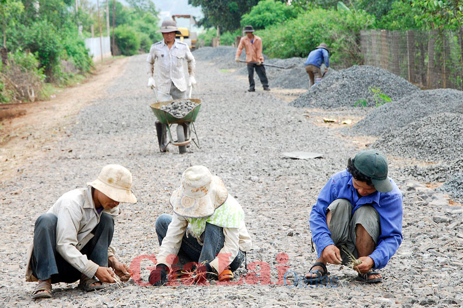Tiết kiệm chi phí vận chuyển gần 20% so với trước khi đường giao thông chưa được nâng cấp, làm mới... Ảnh: Đức Thụy (GLO)- Tăng cường công nghệ nông nghiệp; hỗ trợ liên minh sản xuất; cung cấp hạ tầng thiết yếu; hỗ trợ dự án và tăng cường thể chế là 4 hợp phần chính của dự án Cạnh tranh nông nghiệp được triển khai thực hiện trên địa bàn tỉnh từ năm 2009, tổng vốn đầu tư hơn 8,2 triệu USD. Đến nay dự án đã hoàn thành các hợp phần được duyệt và đang trong giai đoạn đánh giá hoàn thành.