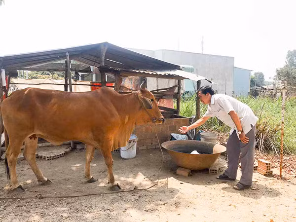 Ông Lê Trung A (bên trái ảnh) có hơn 15 năm gắn bó với cương vị Bí thư Chi bộ thôn An Điền Nam. Ảnh: T.D
