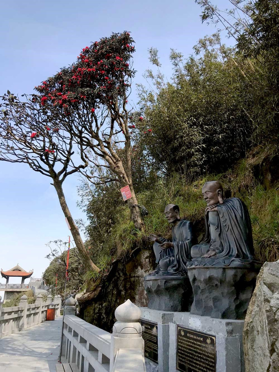 Đỗ quyên hoa vàng mọc cheo leo nơi vách đá, chênh vênh dọc con đường dẫn lên khu vực Kim Sơn Bảo Thắng Tự… Ngắm hoa nơi đây tâm hồn thư thái như lạc vào chốn bồng lai tiên cảnh. Đỗ quyên hoa vàng mọc cheo leo nơi vách đá, chênh vênh dọc con đường dẫn lên khu vực Kim Sơn Bảo Thắng Tự… Ngắm hoa nơi đây tâm hồn thư thái như lạc vào chốn bồng lai tiên cảnh.
