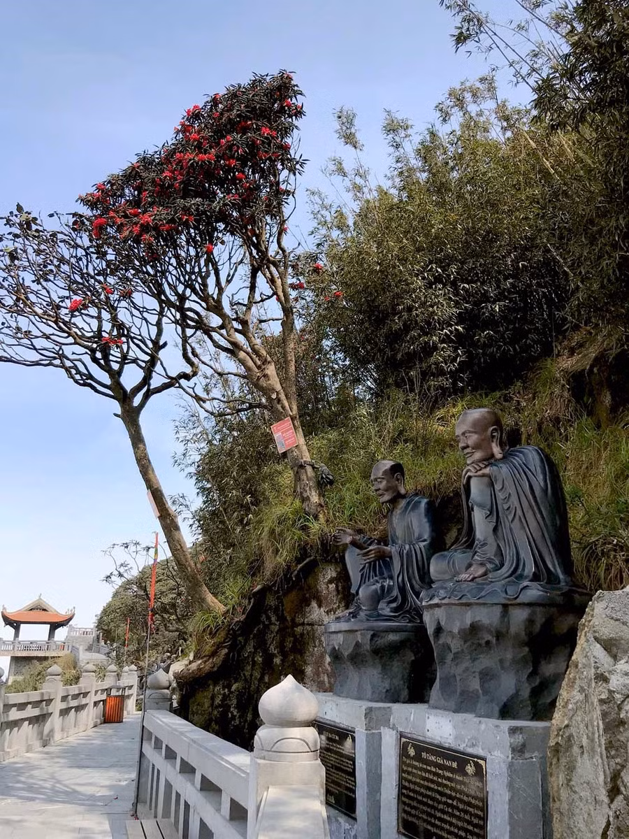 Đỗ quyên hoa vàng mọc cheo leo nơi vách đá, chênh vênh dọc con đường dẫn lên khu vực Kim Sơn Bảo Thắng Tự… Ngắm hoa nơi đây tâm hồn thư thái như lạc vào chốn bồng lai tiên cảnh.