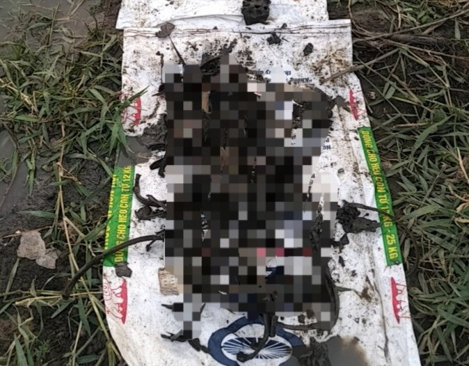 Vụ việc đang được xác minh làm rõ. Ảnh: AX