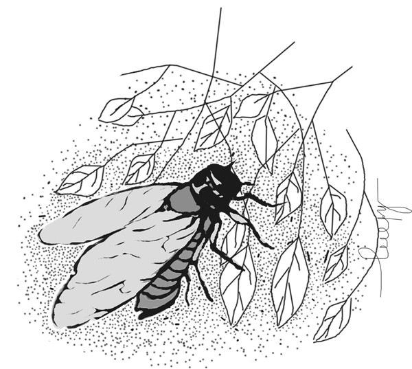 Minh họa: HUYỀN TRANG