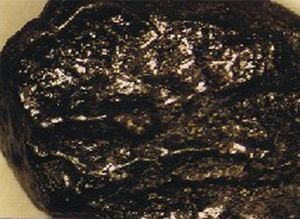 (Ảnh: techno-science.net)