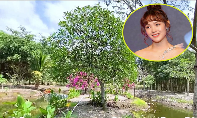 Minh Hằng cũng là một trong những sao Việt sở hữu khu vườn lớn với nhiều loại cây ăn trái khác nhau. Được biết, khu vườn này có diện tích khoảng 20.000m2. ẢNH: FBNV