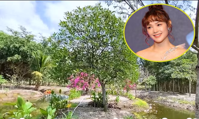 Minh Hằng cũng là một trong những sao Việt sở hữu khu vườn lớn với nhiều loại cây ăn trái khác nhau. Được biết, khu vườn này có diện tích khoảng 20.000m2. ẢNH: FBNV