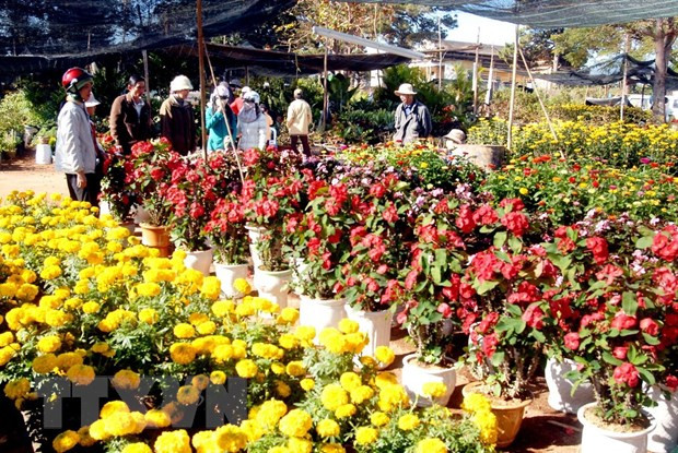 Ảnh minh hoạ. (Ảnh: TTXVN)