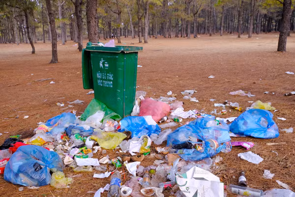 Rác tràn ra từ những thùng rác. Ảnh: M.C