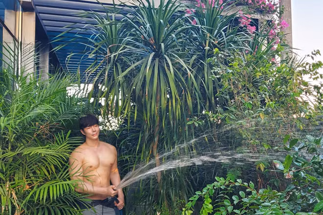 Mặc dù bận rộn với công việc hay rảnh rỗi, Nathan Lee vẫn luôn dành thời chăm sóc khu vườn triệu đô của mình. ẢNH: FBNV