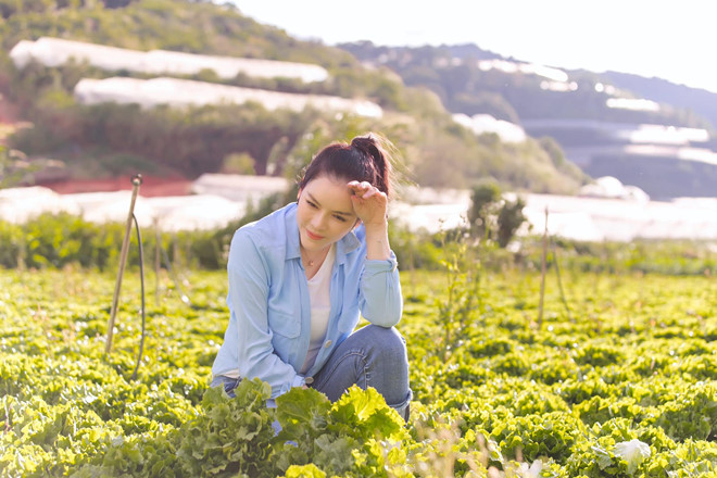 Trước khi dịch bệnh bùng phát, Lý Nhã Kỳ cũng từng tiết lộ cô thường dành thời gian lên chăm sóc nông trại của mình vào mỗi cuối tuần. Công việc không chỉ giúp cô giảm stress mà còn có nhiều thực phẩm organic để tặng người thân, bạn bè. ẢNH: FBNV
