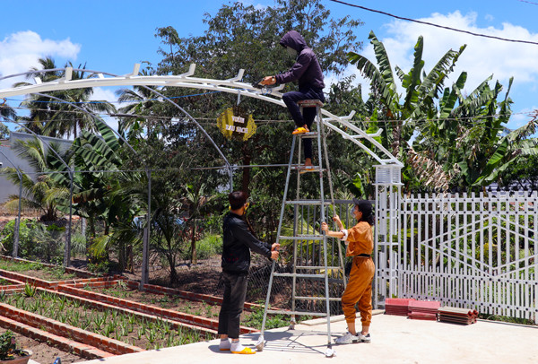 Khu vực trồng rau sạch, được chị Trình Thị Kim Liên cùng nhân viên cố gắng hoàn thành trong thời gian nhà hàng tạm dừng hoạt động. Ảnh: A.P