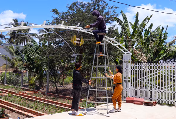 Khu vực trồng rau sạch, được chị Trình Thị Kim Liên cùng nhân viên cố gắng hoàn thành trong thời gian nhà hàng tạm dừng hoạt động. Ảnh: A.P