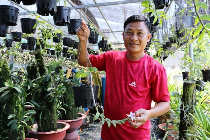  Anh Trung cho biết với mỗi loại lan khác nhau lại cần sự chăm sóc khác nhau.