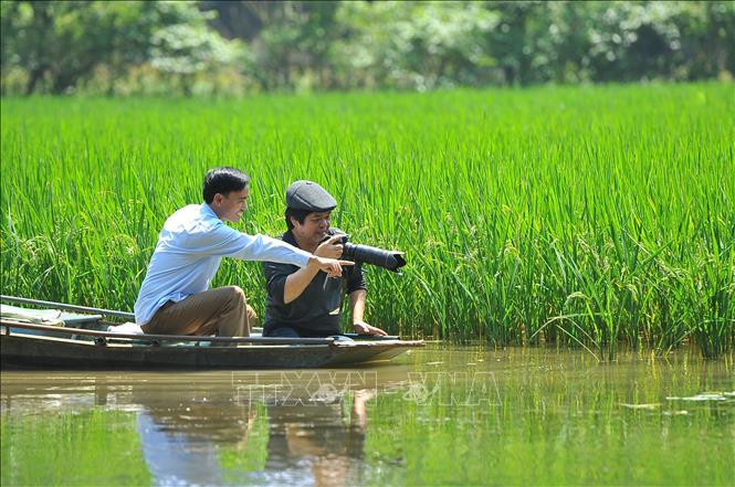 Tam Cốc vào mùa lúa xanh thu hút nhiều du khách tới tham quan và sáng tác ảnh.  Tam Cốc vào mùa lúa xanh thu hút nhiều du khách tới tham quan và sáng tác ảnh.