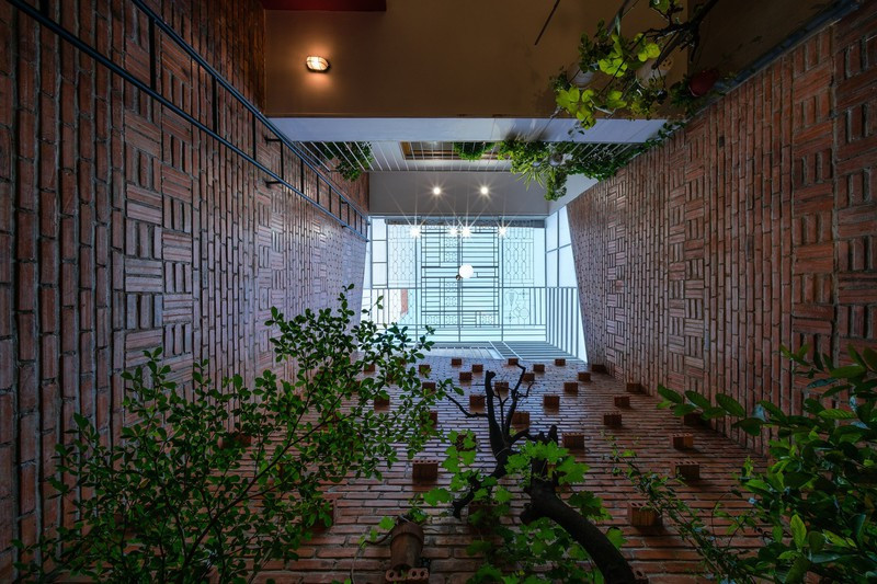 Dương chính là ánh sáng từ mặt trời, sức sống của cây trong vườn.