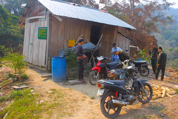  Một cây giáng hương cổ thụ. Ảnh: H.S