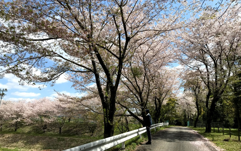 (Ảnh: Nhật Mỹ)