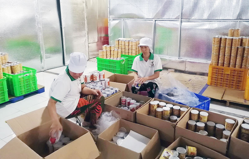 Đóng gói sản phẩm dừa sấy cung ứng cho thị trường.