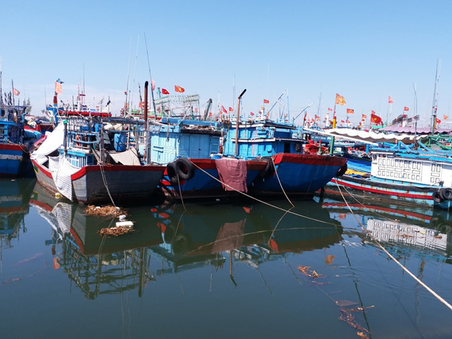 Tàu đánh bắt xa bờ của ngư dân cửa biển Sa Kỳ (Quảng Ngãi). Ảnh: P.A