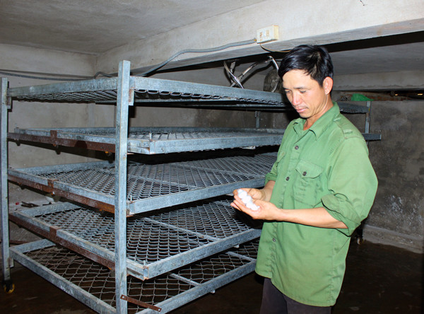Ông Lượng bên mẻ kén tằm. Ảnh: N.D  Ông Lượng bên mẻ kén tằm. Ảnh: N.D