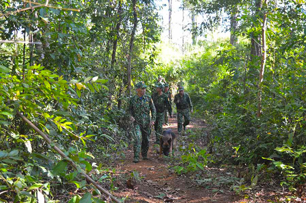 Cán bộ, chiến sĩ Đồn Biên phòng Cửa khẩu Đức Cơ tuàn tra bảo vệ ở các khu vực đường mòn,lối mở. Ảnh: A.H