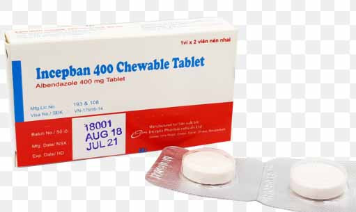  Thuốc thuốc viên nén nhai Incepban 400 Chewable Tablet chỉ định khi nhiễm một hoặc nhiều loại ký sinh trùng đường ruột. Ảnh: Như Nguyện
