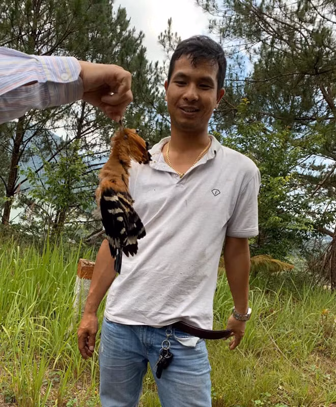 Một con chim Đầu rìu bị bắn hạ. Ảnh: H.Đ.T