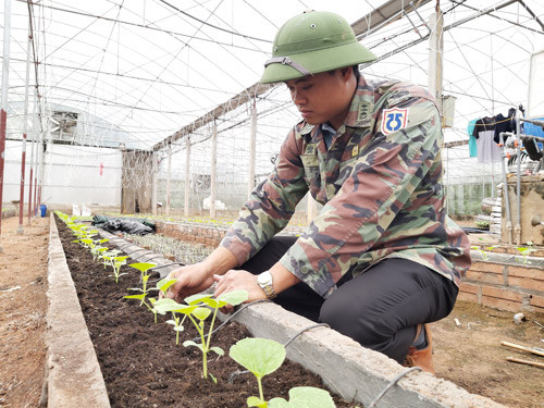 Trong thời gian này, Bách đang chuẩn bị hoàn thiện thêm 2 khu nhà màng áp dụng công nghệ cao vào trồng dưa lưới. Nâng tổng số lên 3 khu nhà màng trồng dưa lưới với tổng diện tích 7.000m2. Ảnh: Minh Ngọc