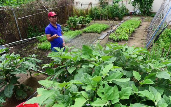 Anh Nguyễn Việt Bằng cùng vườn rau nhà trồng ở quận 8, TP.HCM - Ảnh: QUANG ĐỊNH