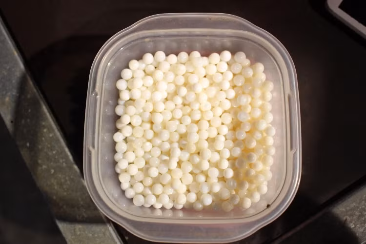 Trừ chi phí, 1ha nuôi trai nước ngọt lấy ngọc cho anh Tuân thu lãi 600 triệu đồng/năm