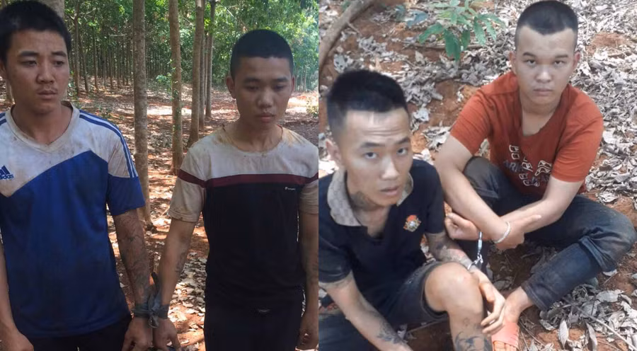Các đối tượng An, Quốc, Phong, Tuấn (từ trái qua) đã bị bắt giữ khi đang lẩn trốn tại lô cao su. Ảnh: Văn Ngọc