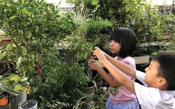 Một khu vườn nhỏ trên sân thượng hay góc lan can, đơn giản nhưng “ẩn giấu” nhiều hạnh phúc - Ảnh: Đ.N.