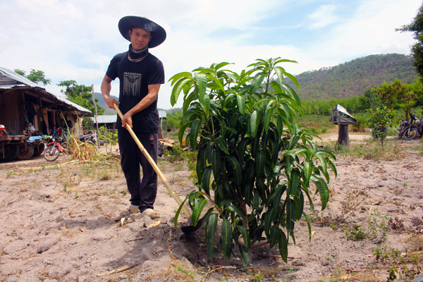 Gia đình anh Vi Văn Khẩn di cư tự do vào khu Cư Bung từ năm 2012. Ảnh: H.S Gia đình anh Vi Văn Khẩn di cư tự do vào khu Cư Bung từ năm 2012. Ảnh: H.S